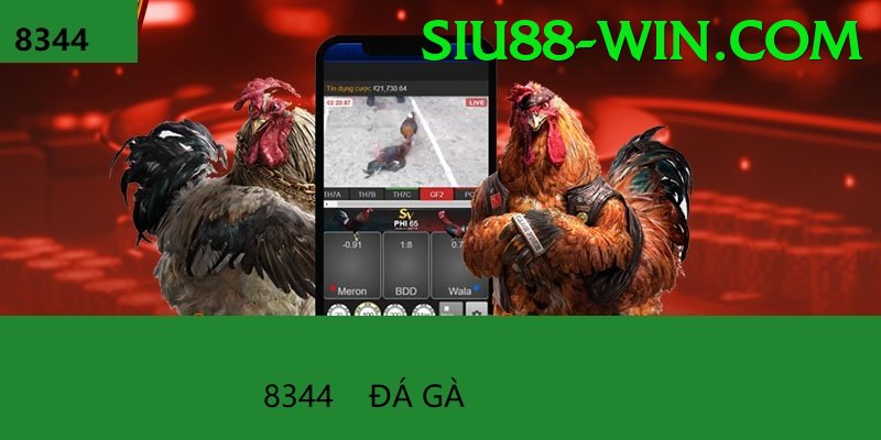 Đá Gà Trực Tiếp - siu88