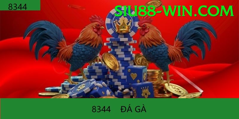 Trường Đấu Đá Gà Chuyên Nghiệp